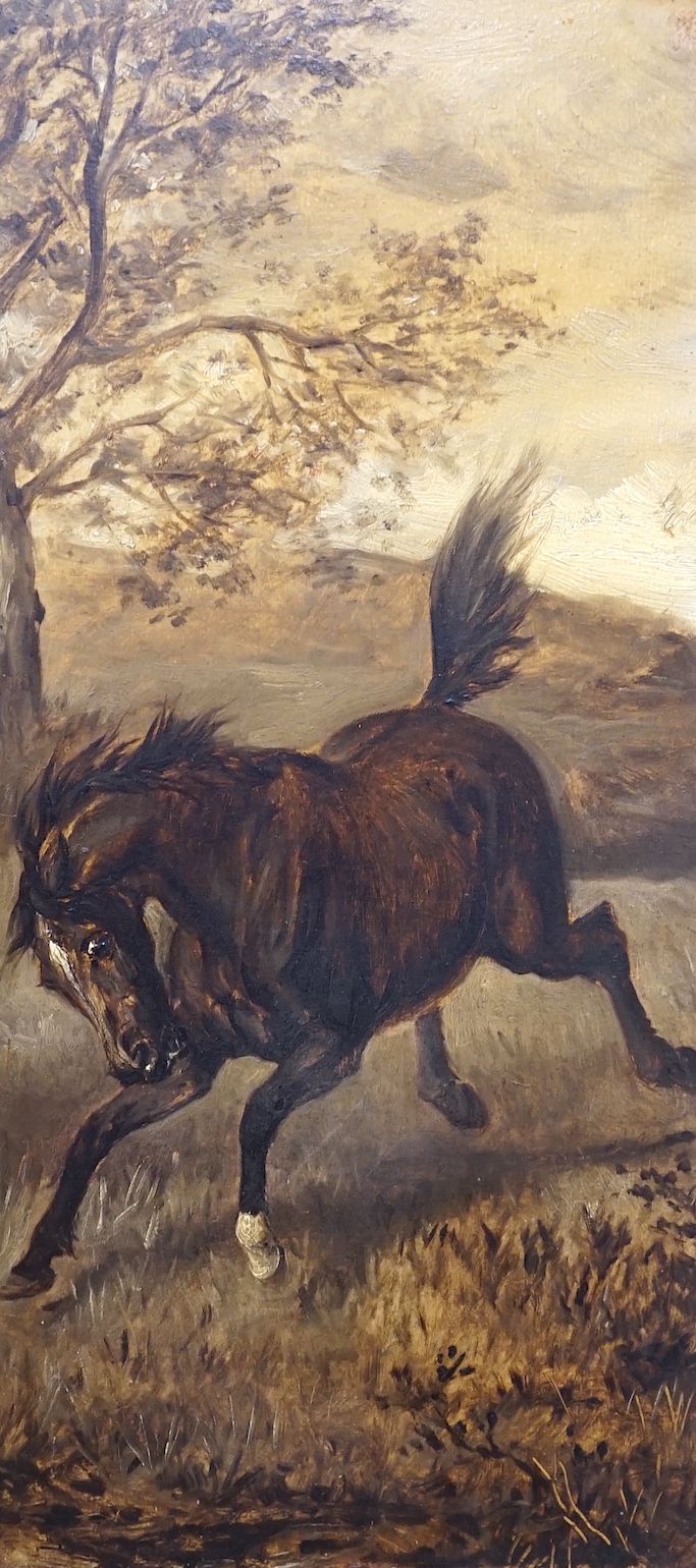 Rowland Wheelright (1870-1955), oil on board, Running horse in a landscape, Ruskin Gallery label verso, 39 x 17.5cm